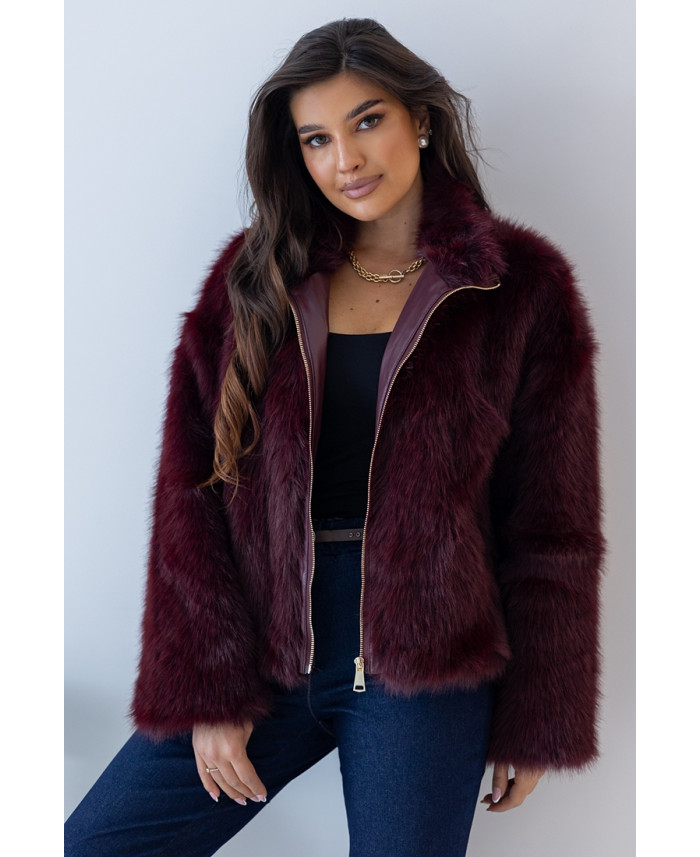 Futerko Gianni Bordowa